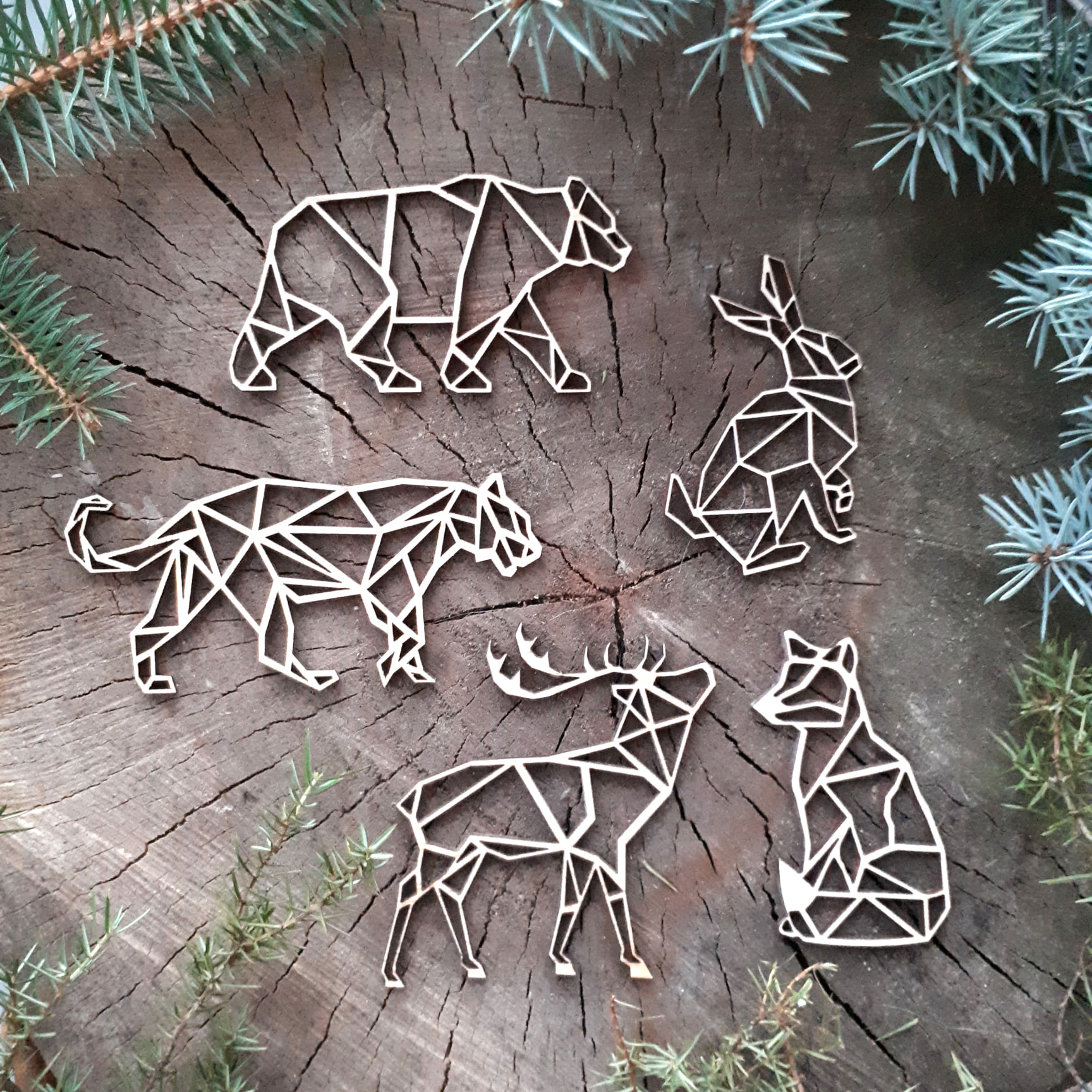 267490599_4544325865677751_2912772300229918308_n